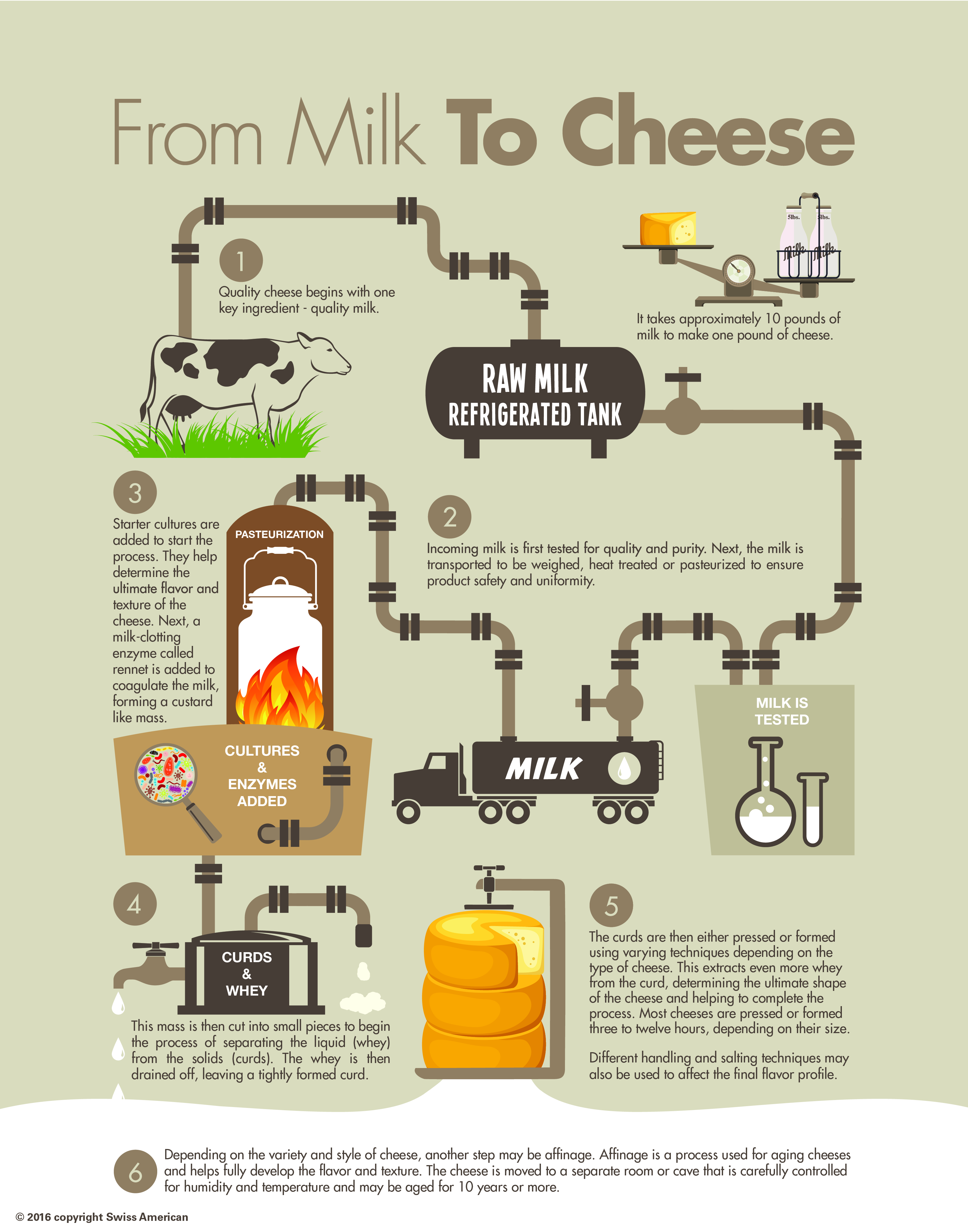 How Cheese is Made